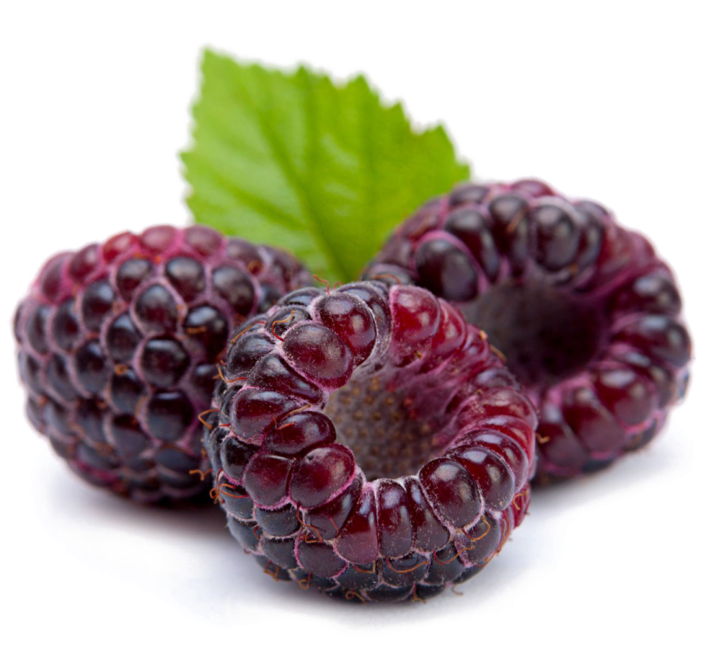Vibrant Fresh Raspberries & Green Leaf - Refreshing Wallpaper Background