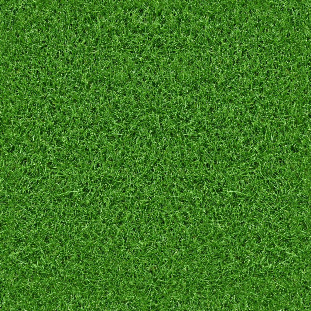 Lush Green Grass Texture Wallpaper: Fresh & Vibrant Background