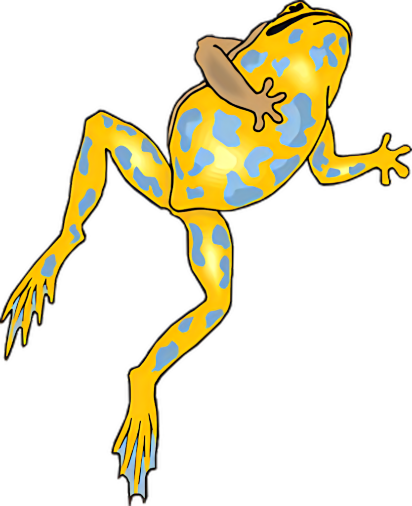 Vibrant Frog Wallpaper: Striking Yellow & Blue on Transparent Background