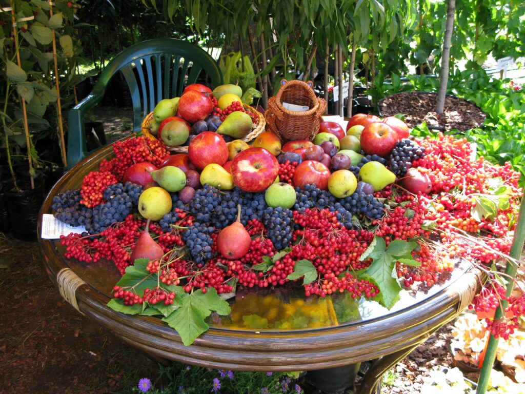 Vibrant Wallpaper: Lively Table of Fresh Fruits and Berries