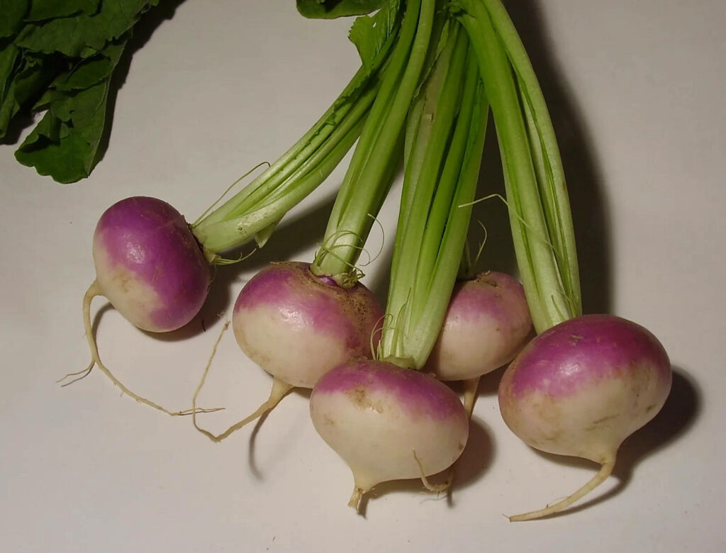 Fun-Sized Turnip Wallpaper: Vibrant Purple & White Delight
