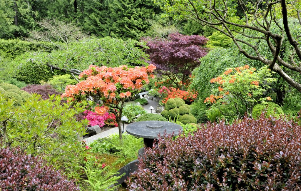 Aerial view of vibrant garden with green trees orange lilac bushes and manicured shrubs wallpaper