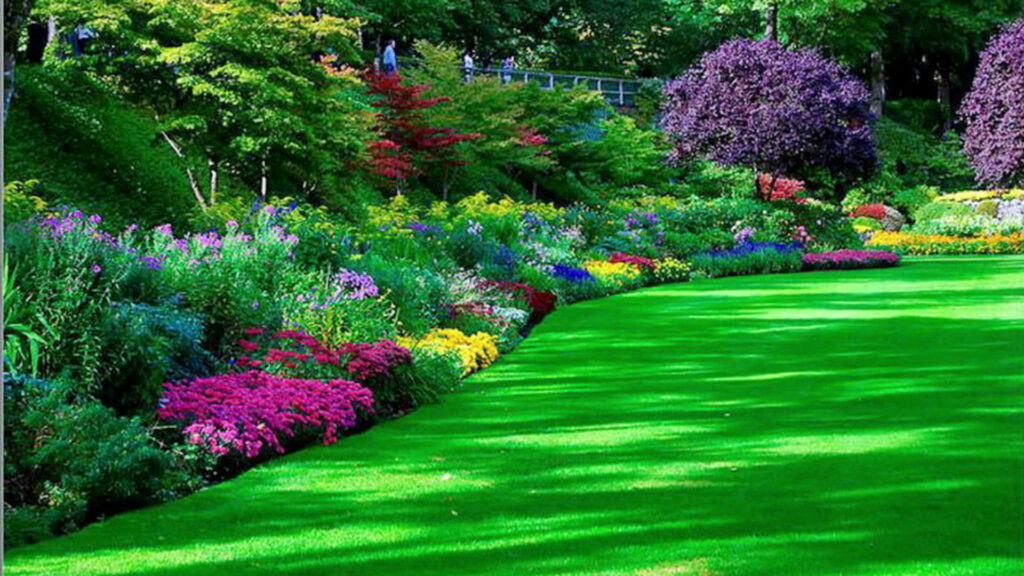 Colorful Oasis: A Garden Park of Lush Green Grass and Vibrant Flowers - HD wallpaper