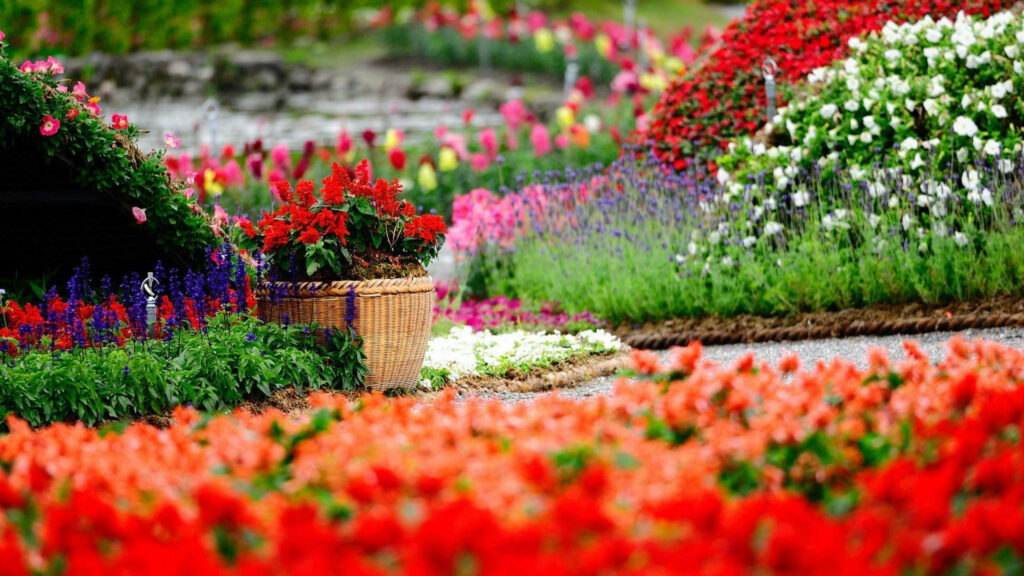 Vibrant Garden Scene with Colorful Blooms & Charming Basket Wallpaper