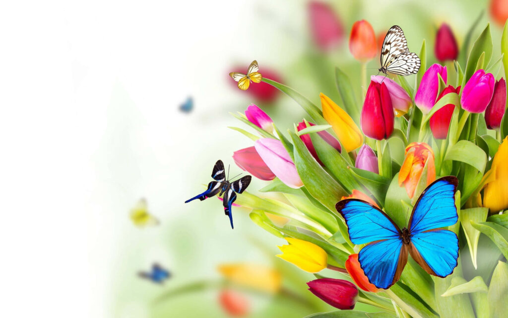 Vibrant Garden Wallpaper: Colorful Flowers & Butterflies Background