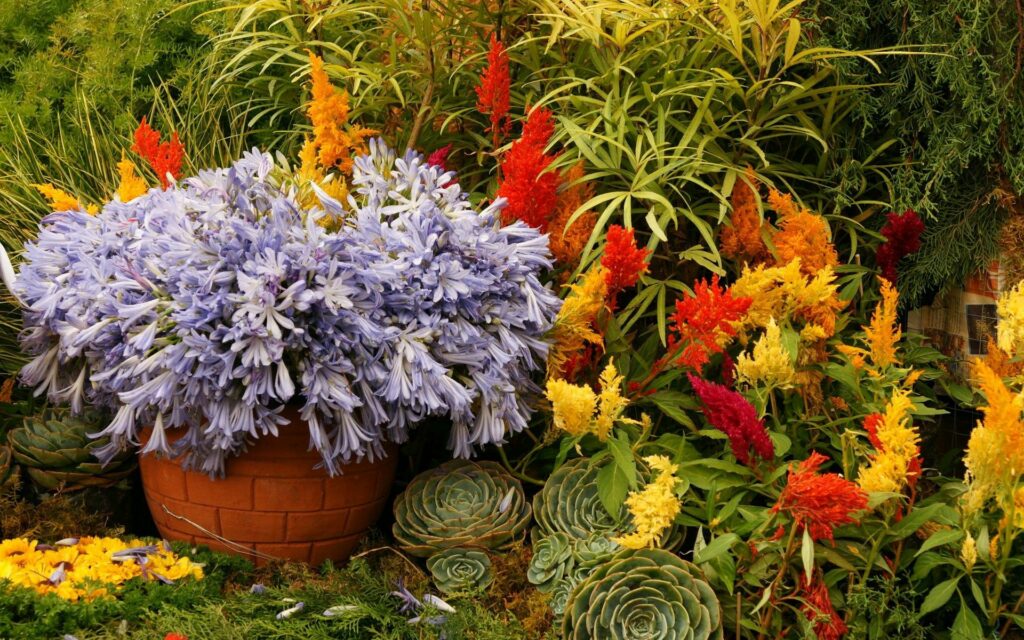 Vibrant Garden Wallpaper: Colorful Flowers & Lush Greenery Background