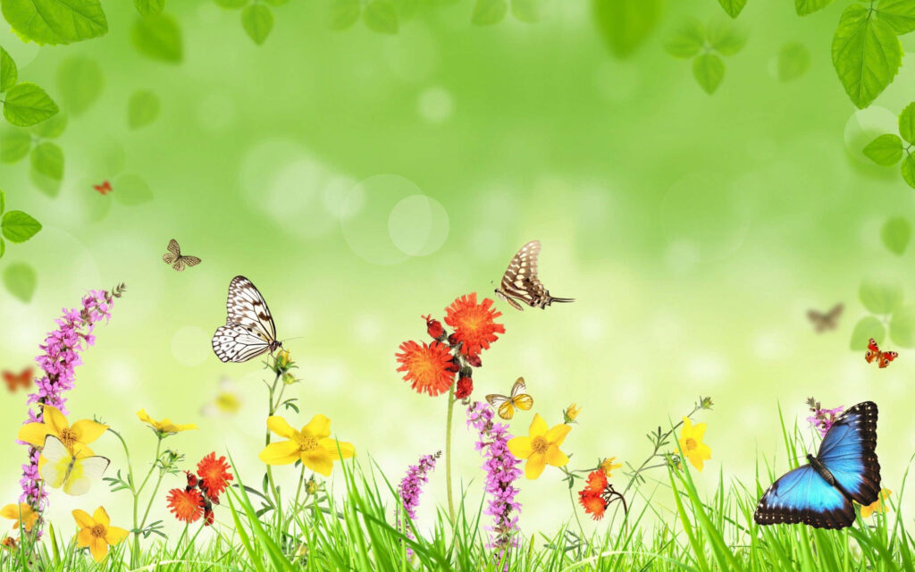 Vibrant Green Wallpaper with Colorful Flowers & Butterflies