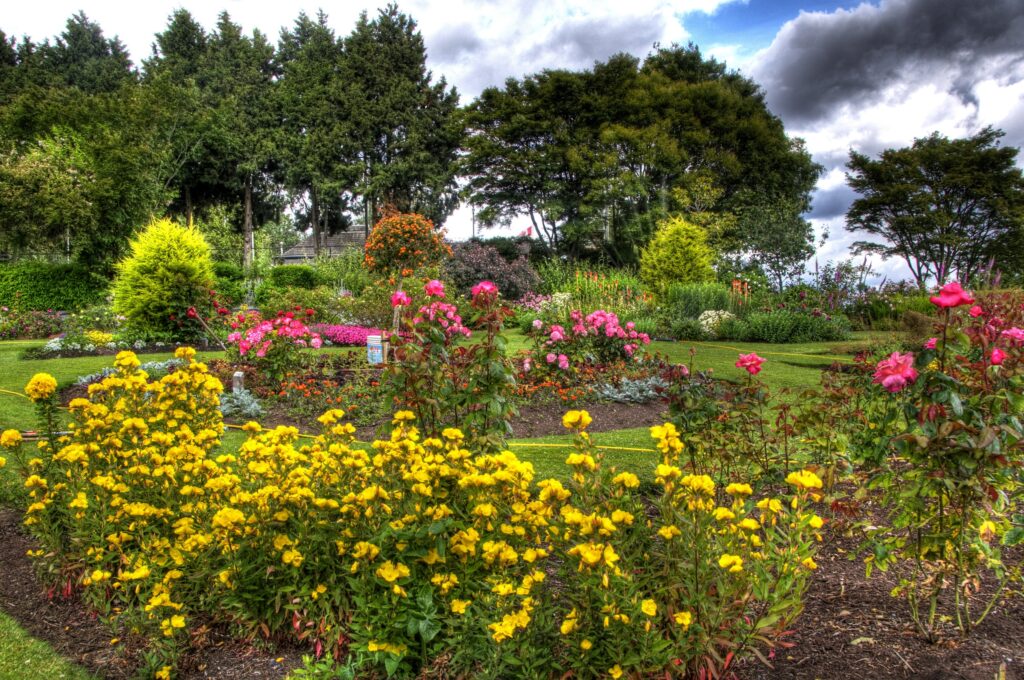 Vibrant garden wallpaper with yellow flowers blooming roses and lush green trees outdoors background