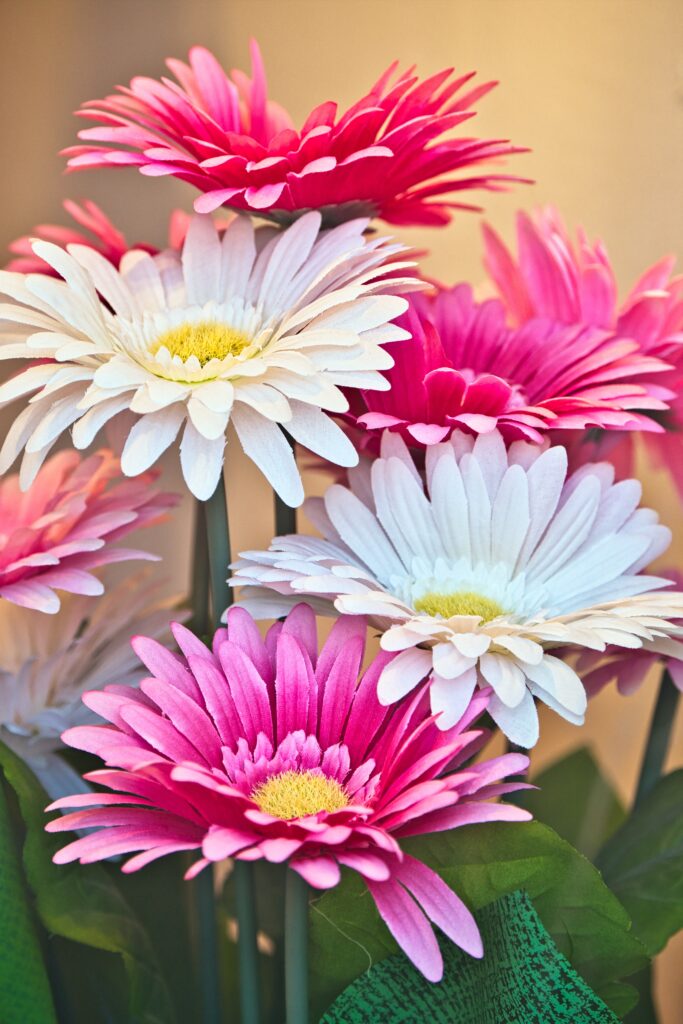 Colorful Bouquet of Gerbera Flowers: Bright Floral Wallpaper Background