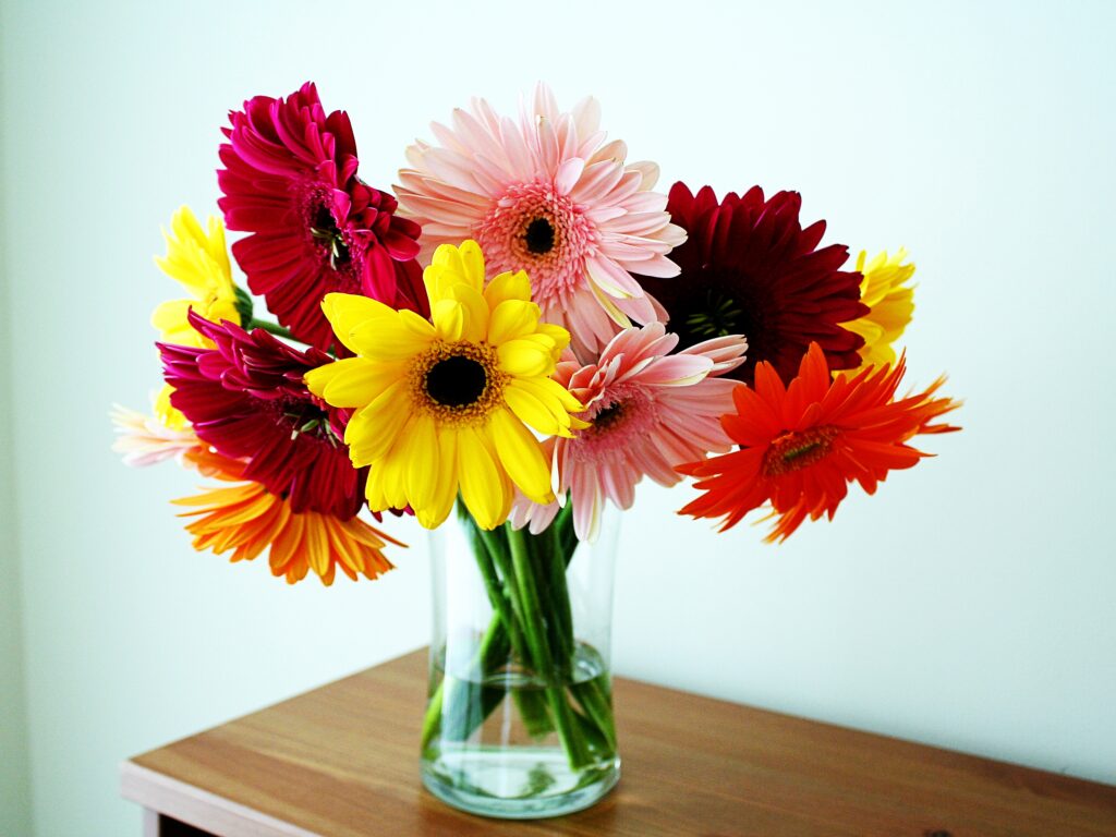 Colorful Gerbera Flowers in Glass Vase on Wooden Table Background Wallpaper