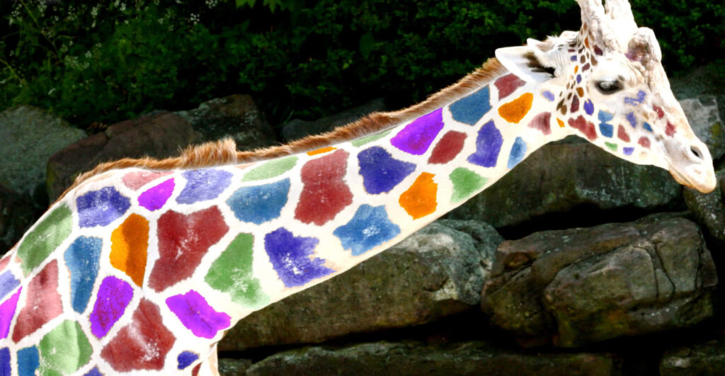 Vibrant Giraffe Wallpaper: Bold Colors & Whimsical Nature Background