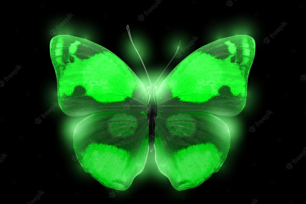 Stunning Green Butterfly Wallpaper: Luminous Wings on Dark Background