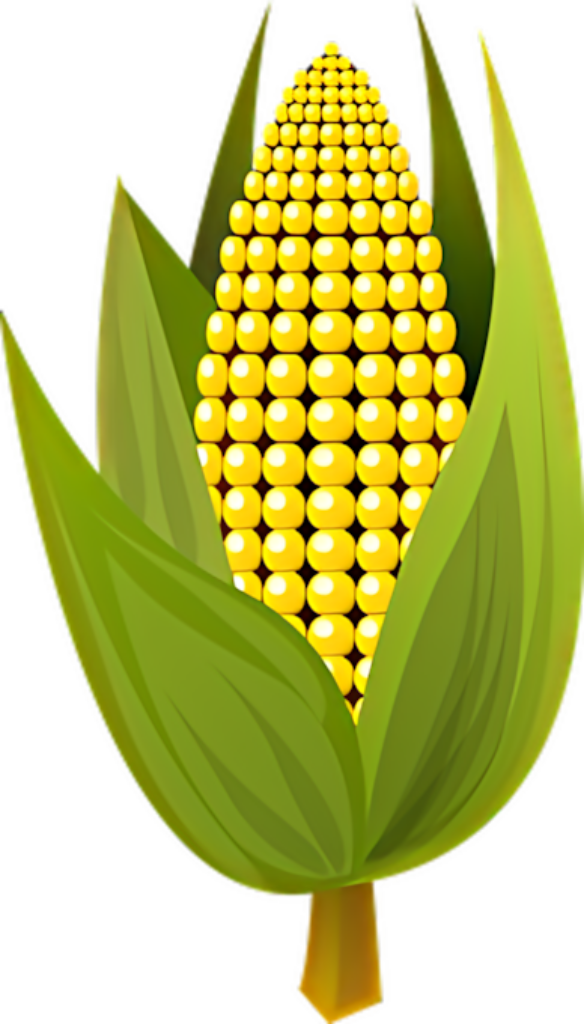 Vibrant Golden Corn Cob Wallpaper Background with Green Leaves