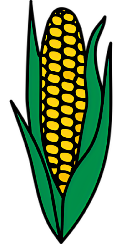 Vibrant Golden Corn Ear Vector Illustration for Wallpaper Background