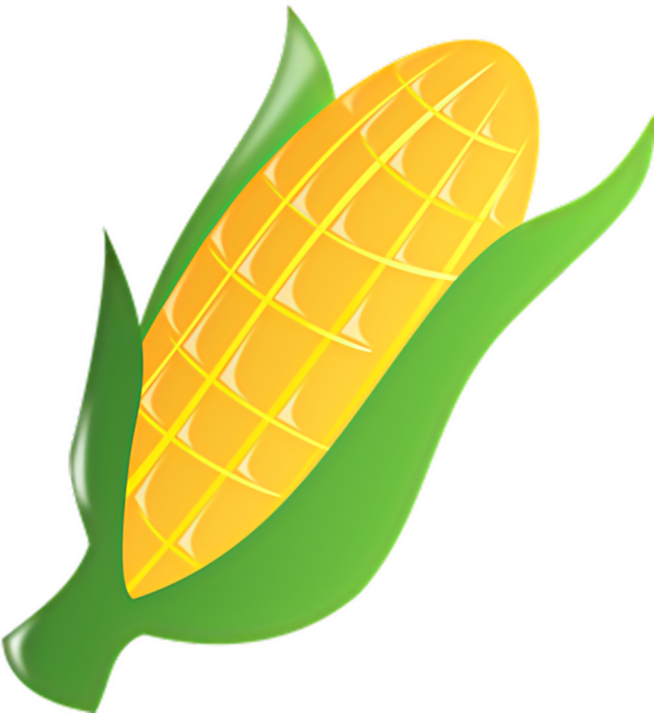 Vibrant Golden Corn Ear Vector Illustration - Wallpaper Background