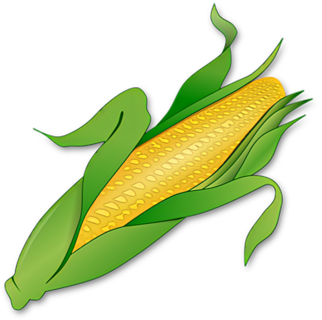 Vibrant Golden Corn Ear Wallpaper with Green Husks - PNG Background