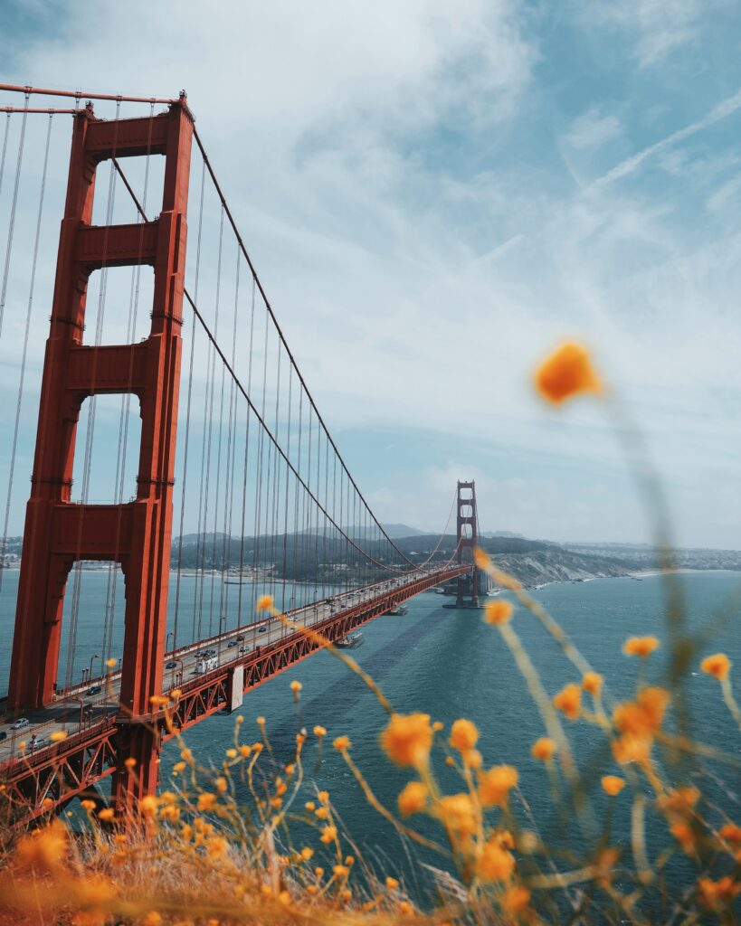 Golden Gate Bridge over blue water with yellow flowers foreground scenic nature wallpaper
