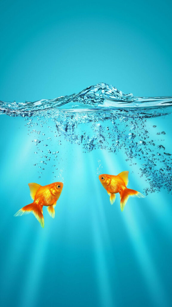 Two vibrant goldfish swimming in crystal clear water with light rays and delicate bubbles background Wallpaper