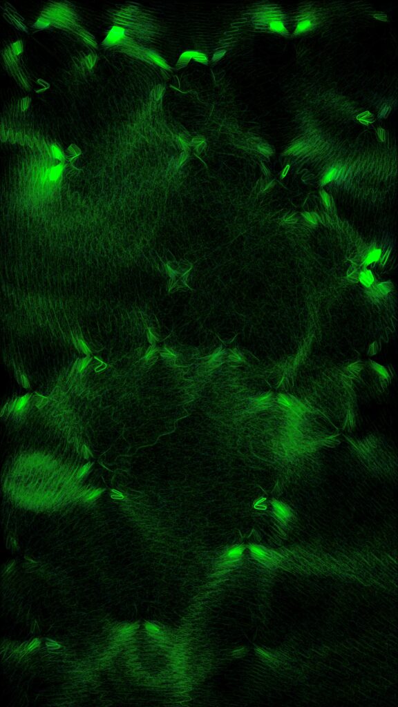 Abstract Plexus Wallpaper: Glowing Green Lines on Dark Background