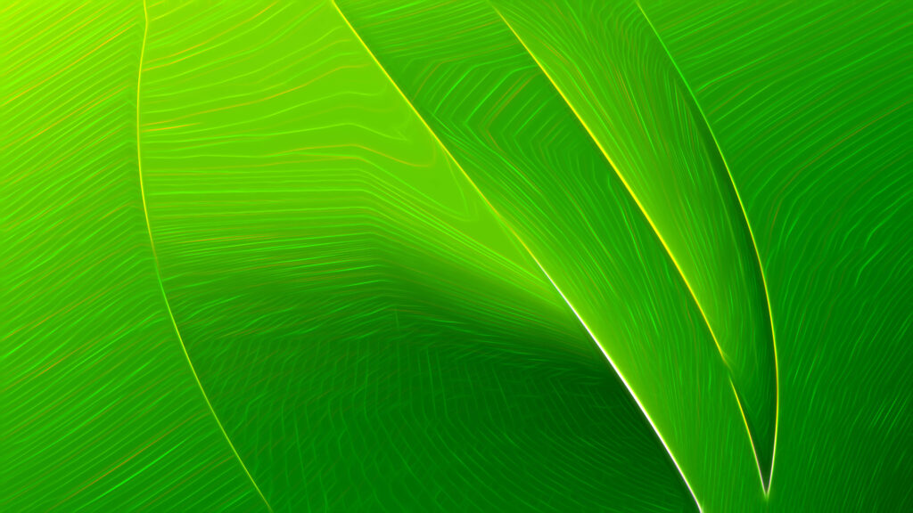Vibrant Green Abstract Wallpaper with Leaf-Inspired Textures
