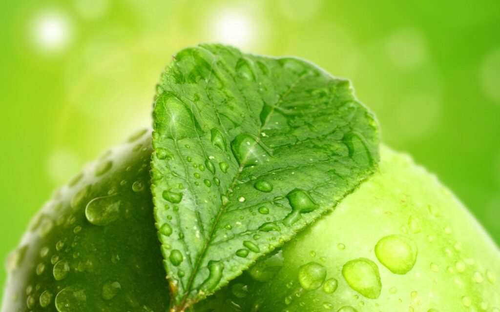 Vibrant Green Apple Wallpaper: Fresh, Dewy, Lush Background