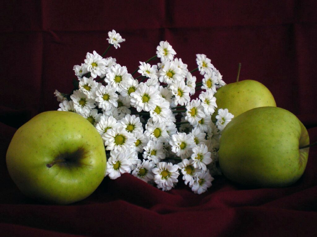 Vibrant Green Apple and White Daisy Wallpaper on Red Background
