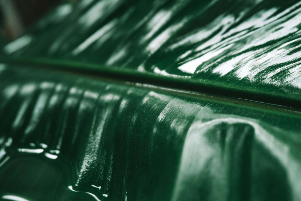 Close up of vibrant green banana leaf showing natural textures and glossy tropical wallpaper background