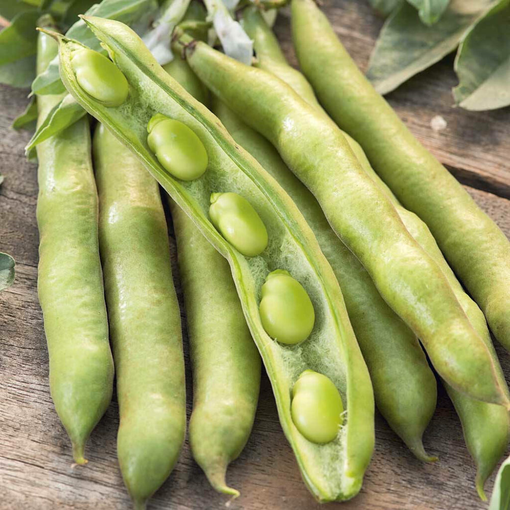Vibrant Green Bean Wallpaper: Natural Textures & Earthy Tones