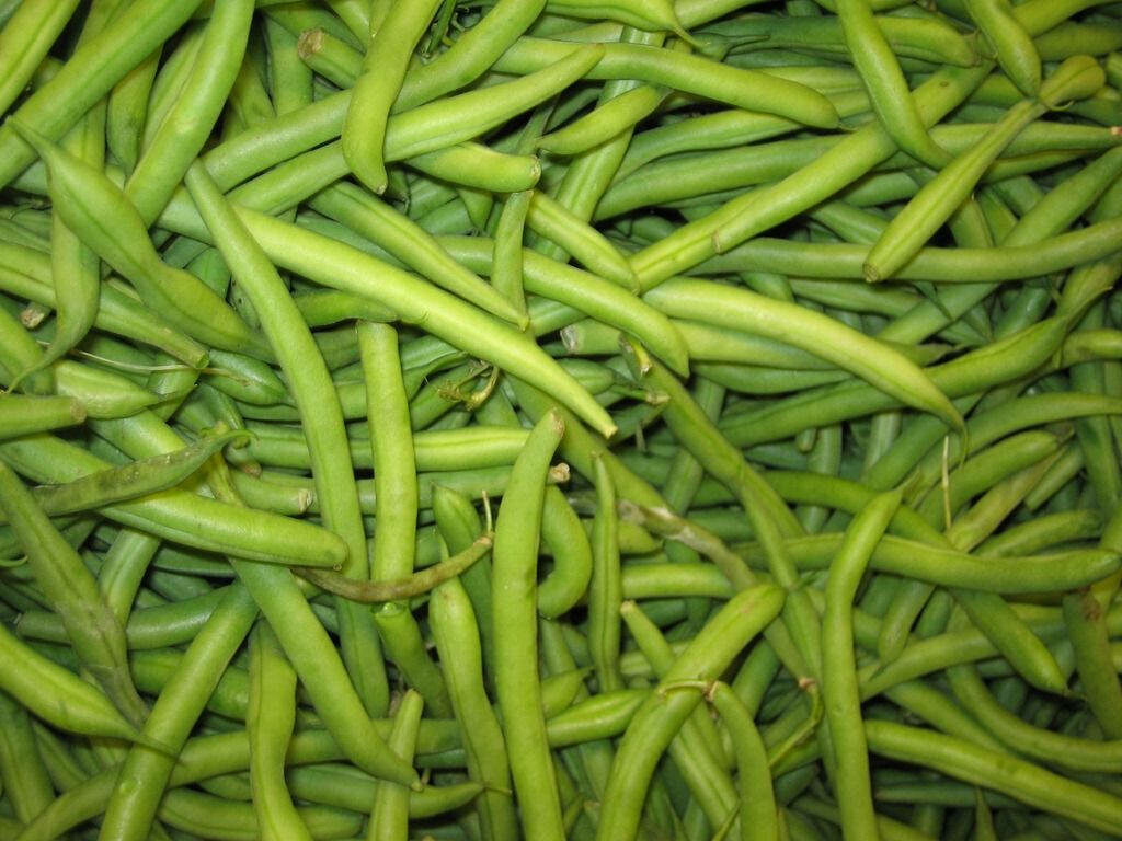 Vibrant Green Beans Wallpaper Background - Fresh & Textured Design