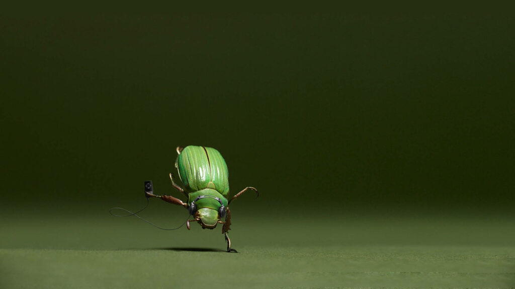 Whimsical Green Beetle Wallpaper: Playful Minimalist Background