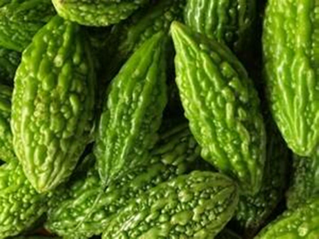 Vibrant Green Bitter Gourds Wallpaper: Fresh & Textured Beauty