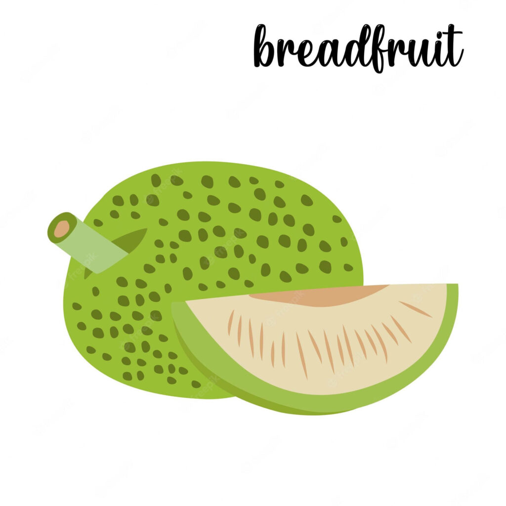 Cartoon green breadfruit with detailed dotted texture and slice on white background wallpaper
