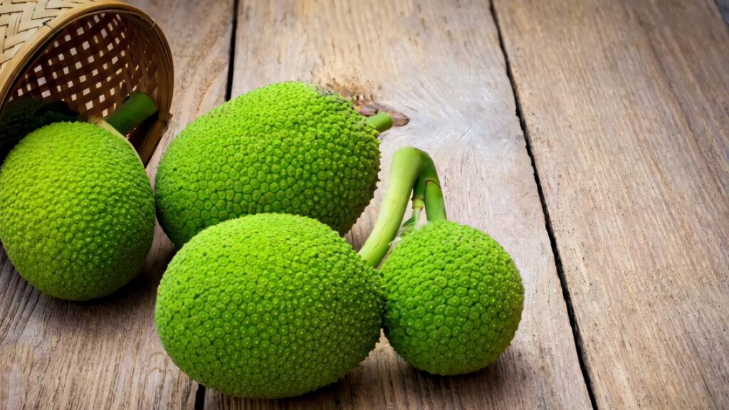 Fresh green breadfruit with textured skin on rustic wooden table natural kitchen décor background Wallpaper