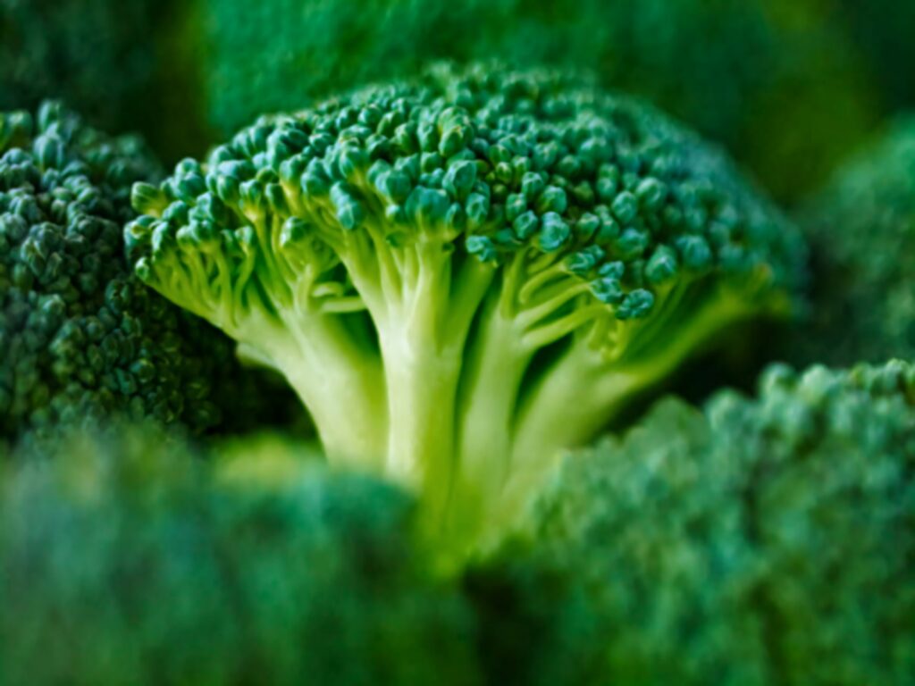 Close-up of fresh vibrant broccoli florets with rich green leaves and detailed organic textures Wallpaper