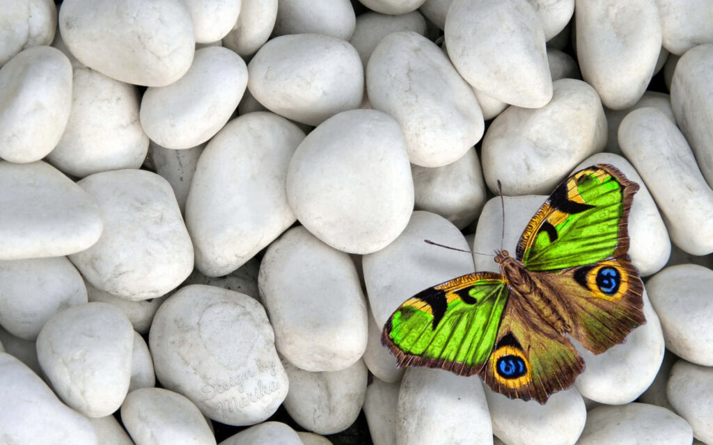 Vibrant Green Butterfly on White Stones - Stunning Wallpaper Background