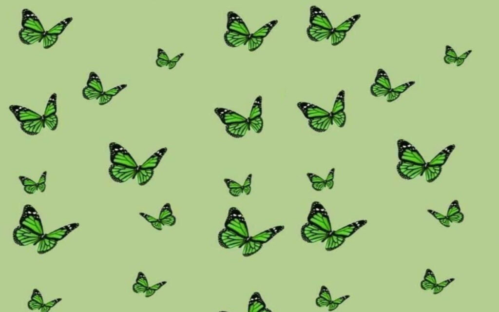 Vibrant Green Butterfly Wallpaper - Fresh Light Green Background