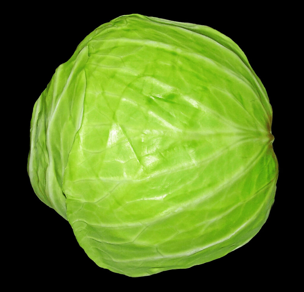 Vibrant Green Cabbage Wallpaper with Detailed Texture on Black
