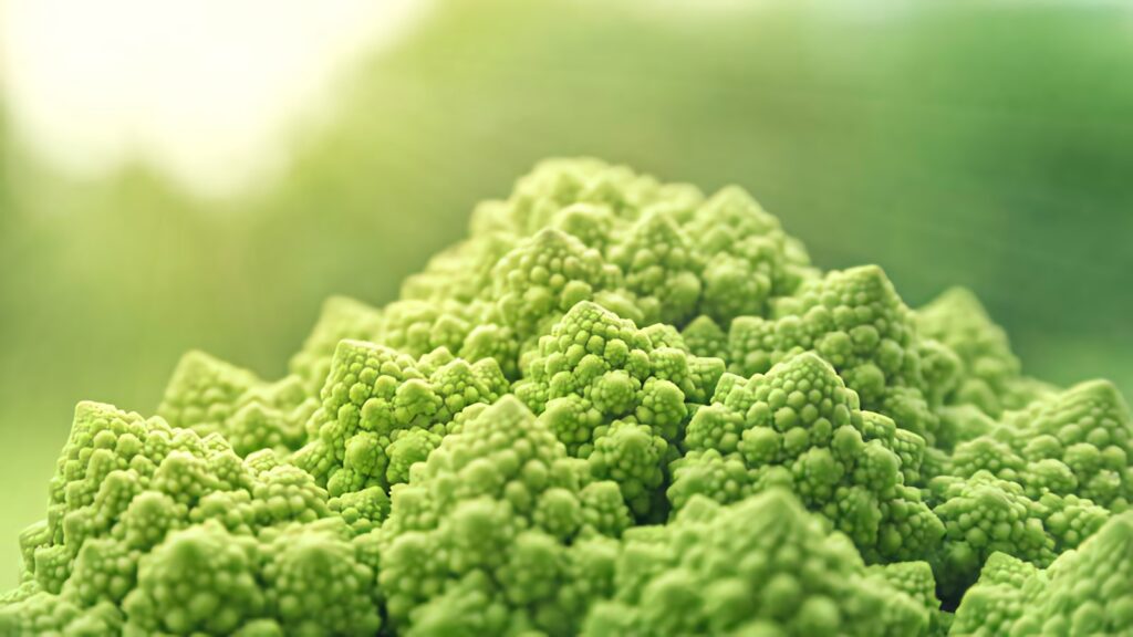 Close-up of vibrant green cauliflower with fractal patterns in soft natural light background Wallpaper