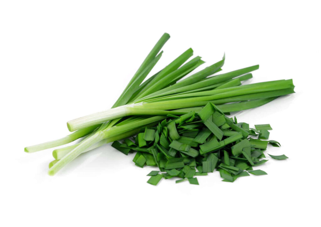 Vibrant Green Chive Wallpaper: Fresh, Natural Texture Background