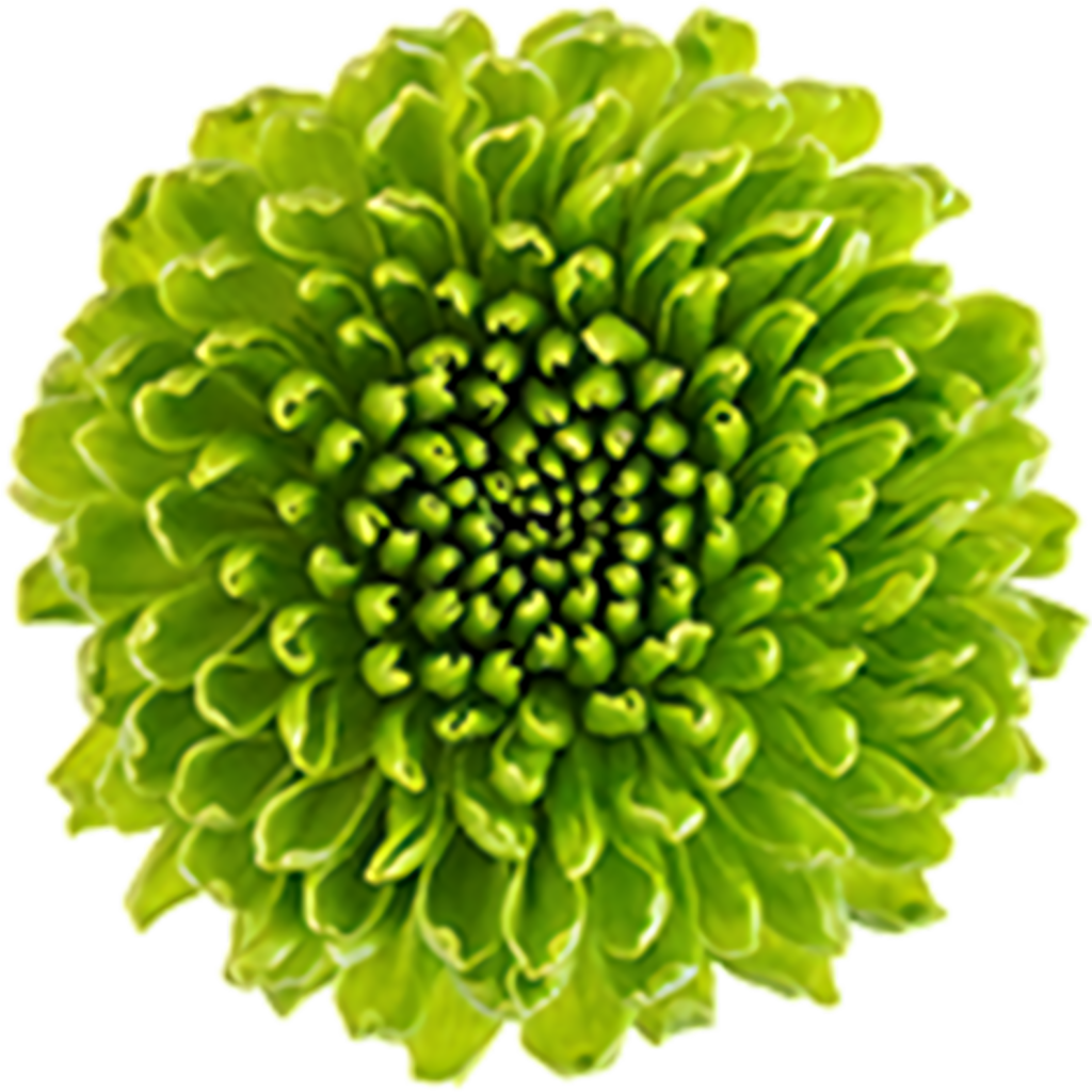 Vibrant Green Flower Wallpaper: Intricate Petals on Transparent Background