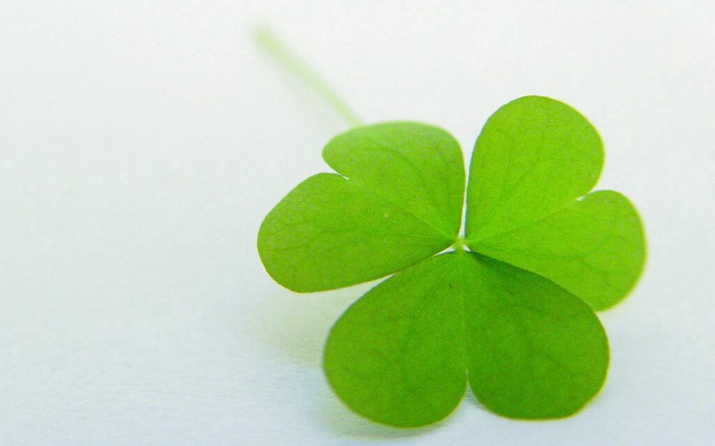 Vibrant Green Four-Leaf Clover Wallpaper - Luck & Nature Background