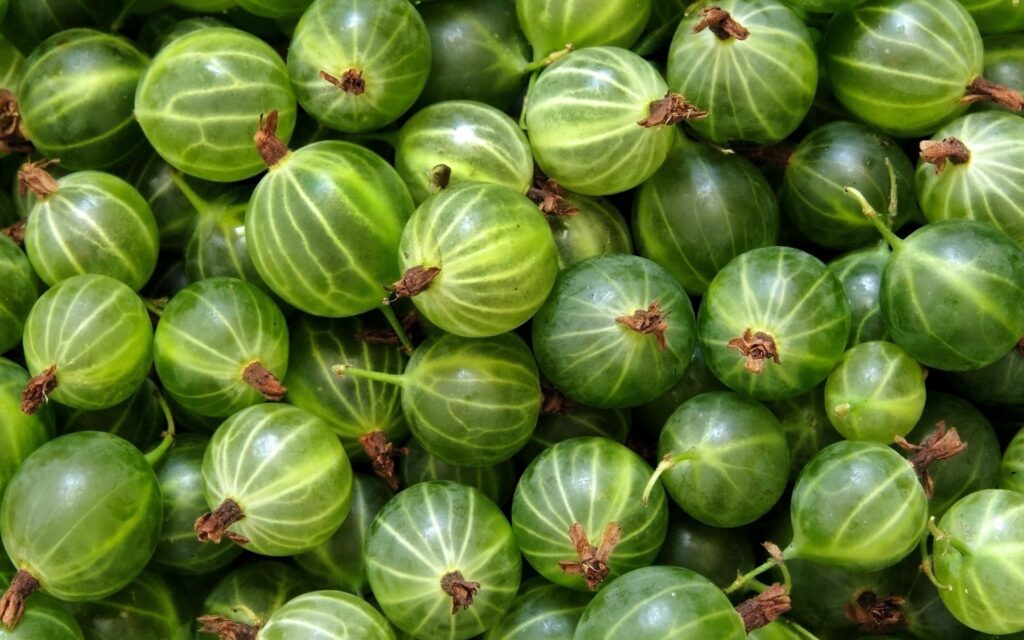Vibrant Green Gooseberries Wallpaper Background - Fresh & Lively Texture