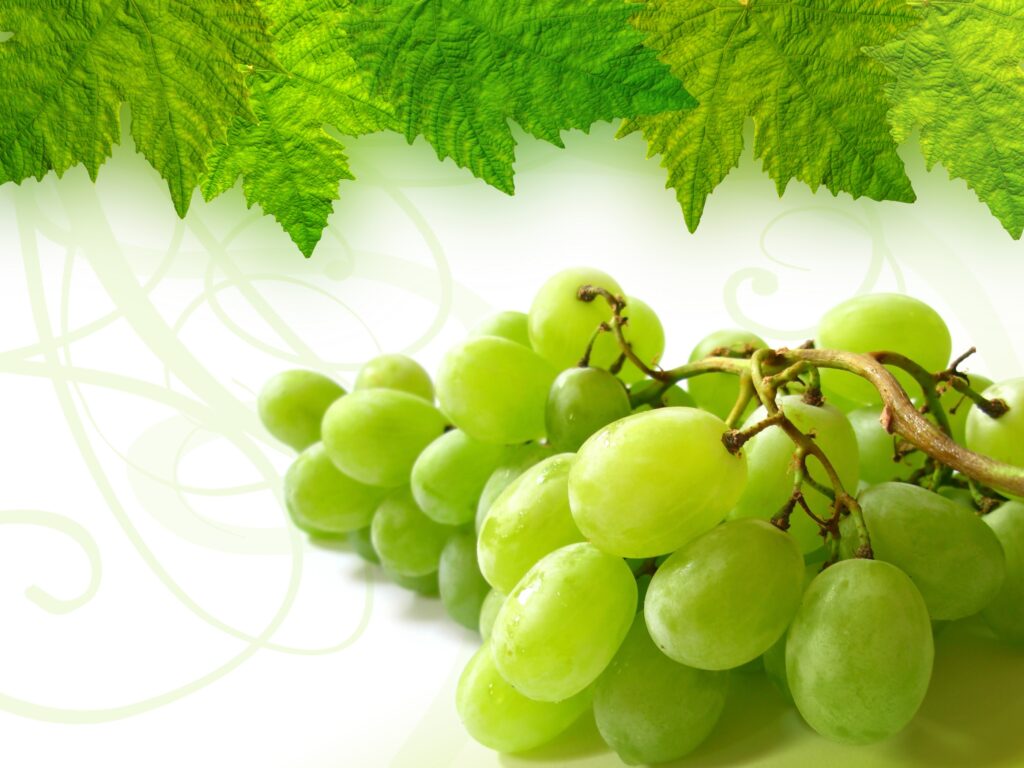 Fresh Green Grapes Wallpaper: Lush Natural Background Design