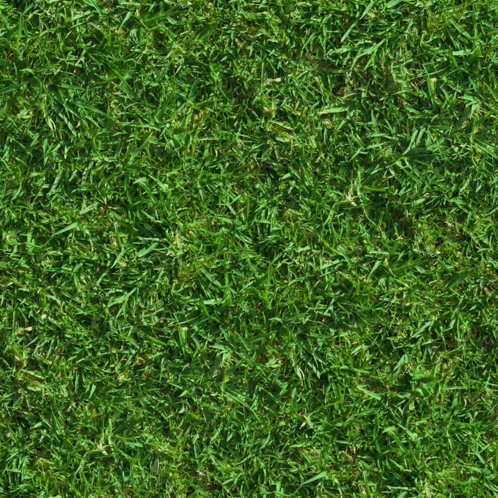 Vibrant Green Grass Texture Close-Up for Stunning Wallpaper Background