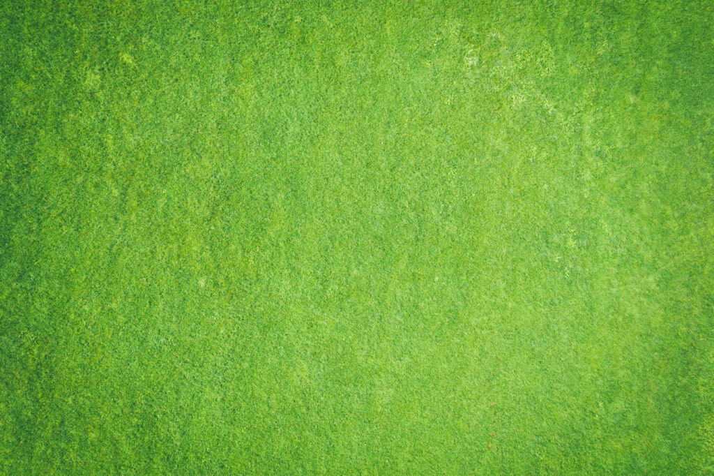 Vibrant Green Grass Texture Wallpaper Background for Serenity