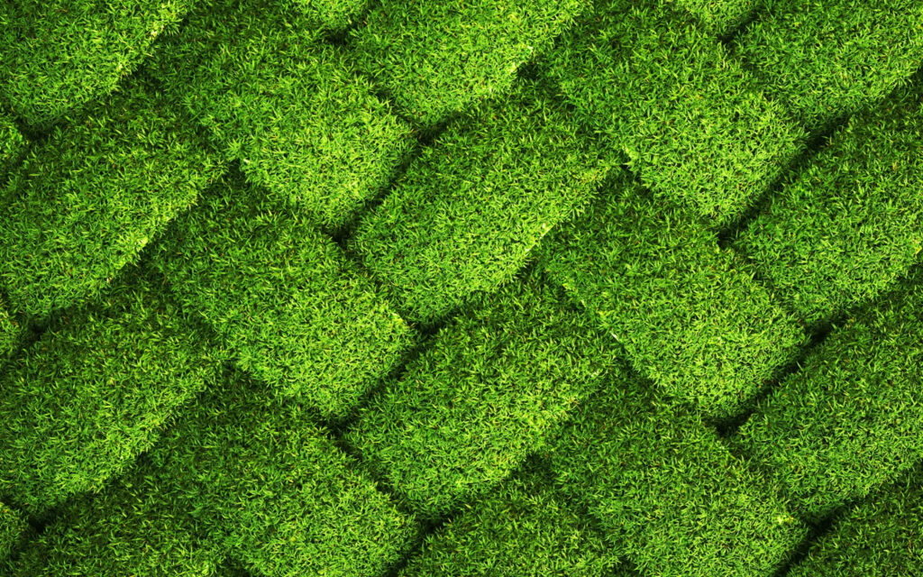 Seamless Green Grass Wallpaper - Vibrant Textured Background