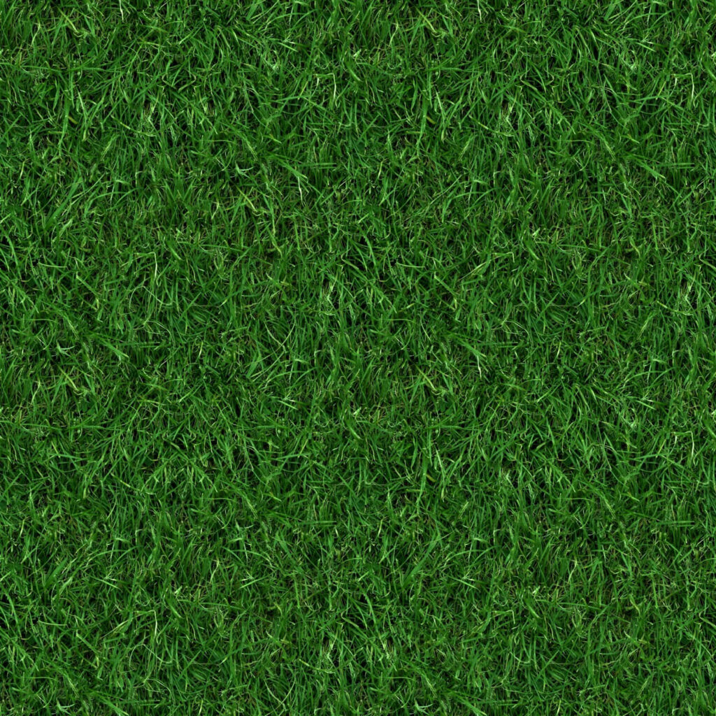Vibrant Green Grass Texture Wallpaper for Nature-Inspired Designs