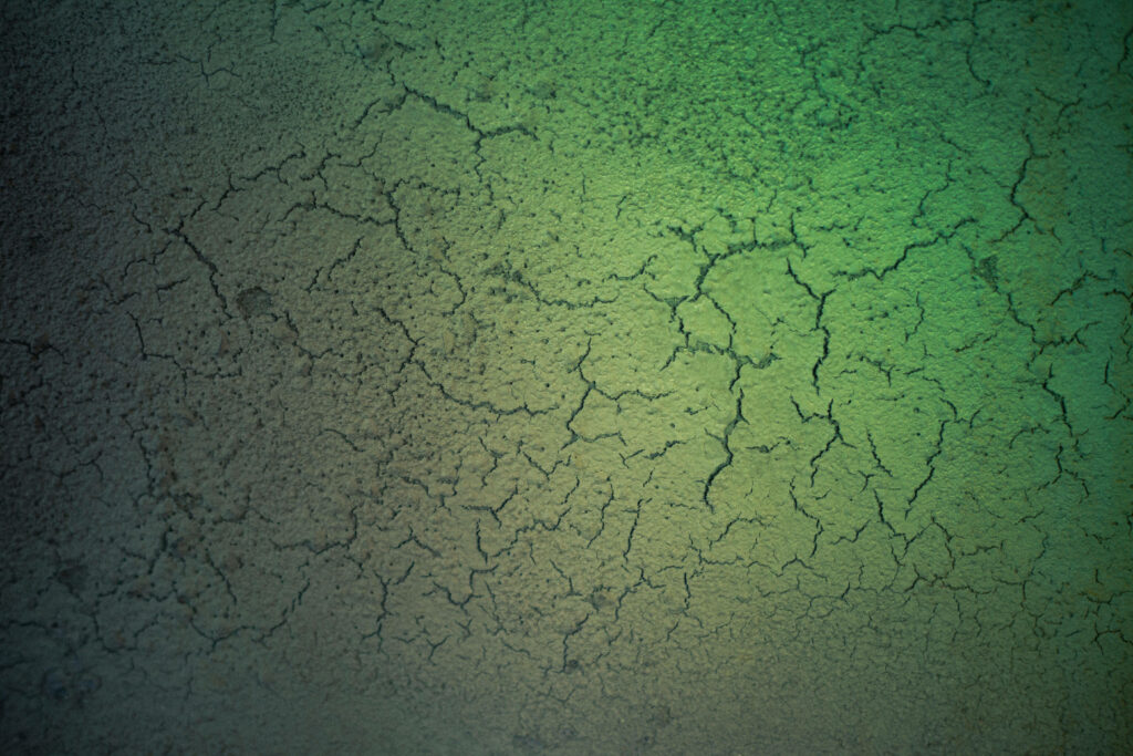 Vibrant Green Grunge Texture Wallpaper with Cracked Soil Patterns