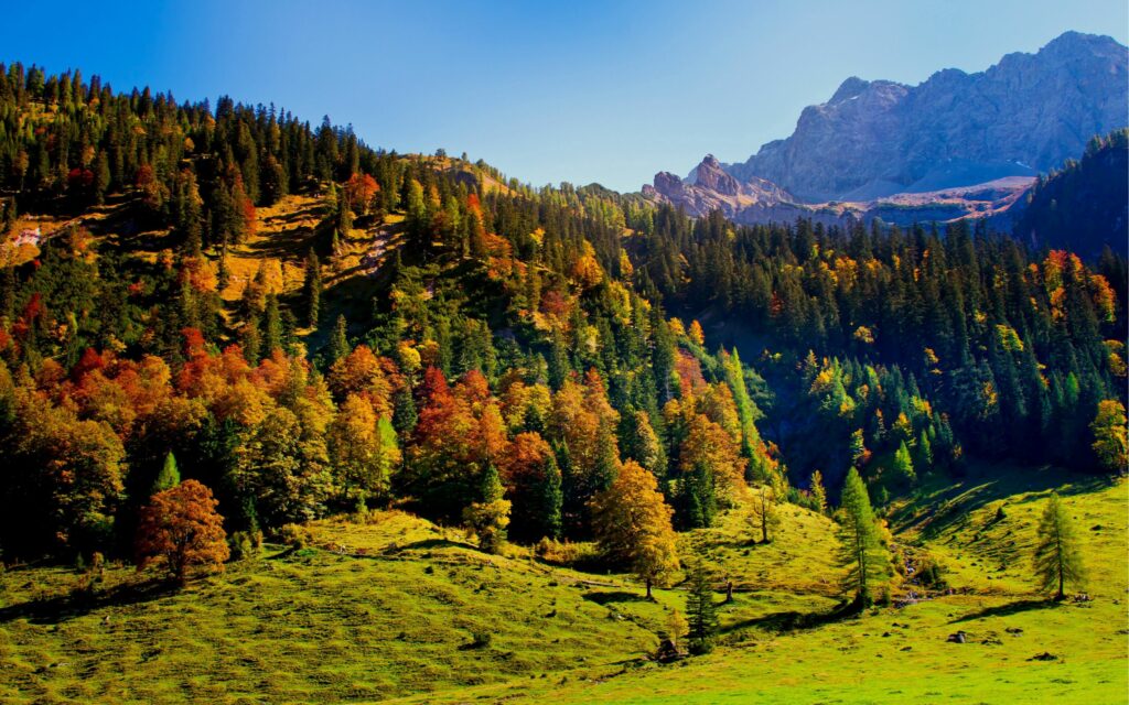 Vibrant landscape wallpaper with green hills colorful trees mountains and clear blue sky background