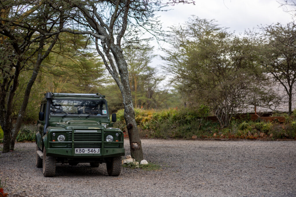 Green Land Rover Defender in Lush Safari Landscape Wallpaper 5472x3648